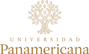 logo panamericana